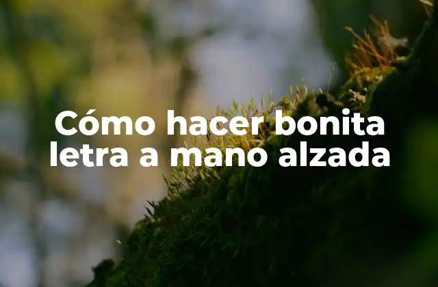 Cómo Hacer Bonita Letra a Mano Alzada