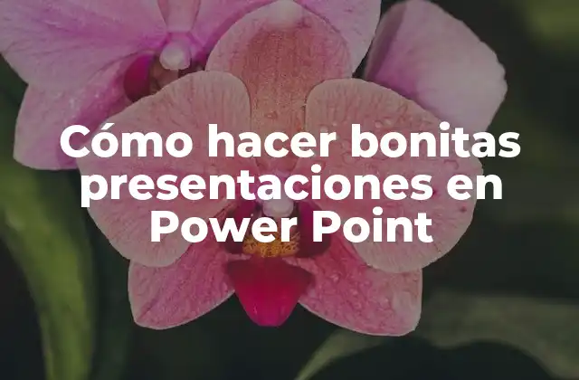Cómo Hacer Bonitas Presentaciones en Power Point