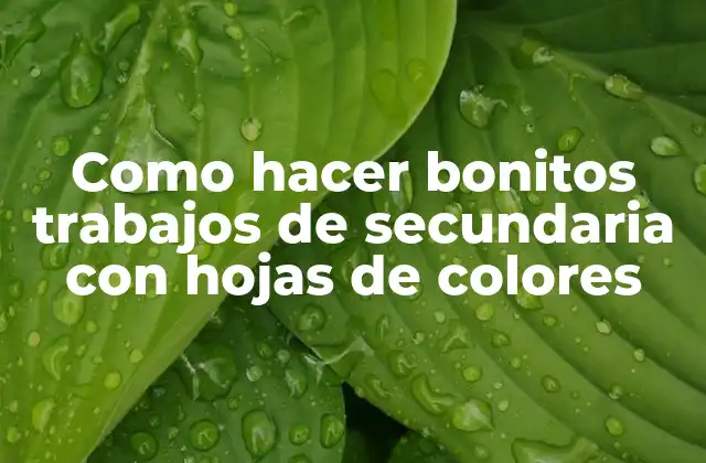 Como Hacer Bonitos Trabajos de Secundaria con Hojas de Colores
