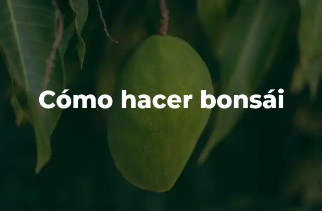 Cómo Hacer Bonsái 2 ¿Qué es un bonsái?