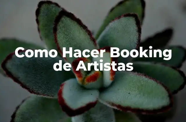 Como Hacer Booking de Artistas