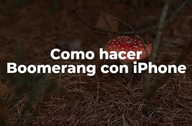 Como Hacer Boomerang con Iphone