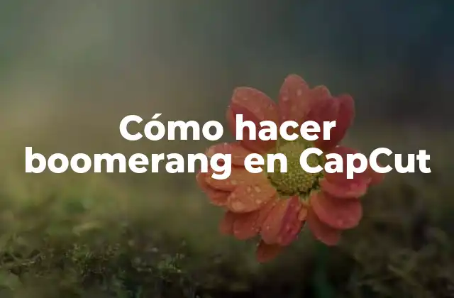 ¿Qué es un boomerang en CapCut?
