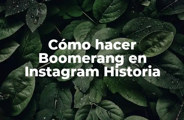 Cómo Hacer Boomerang en Instagram Historia