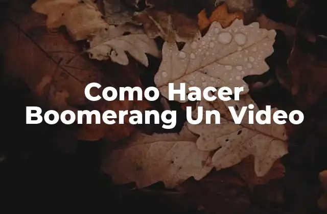¿Qué es un Boomerang de Video y Para Qué Sirve?
