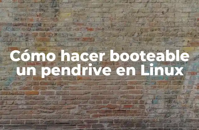 Cómo Hacer Booteable un Pendrive en Linux