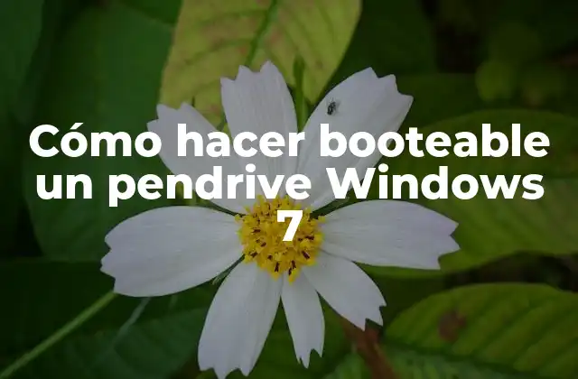 Cómo Hacer Booteable un Pendrive Windows 7