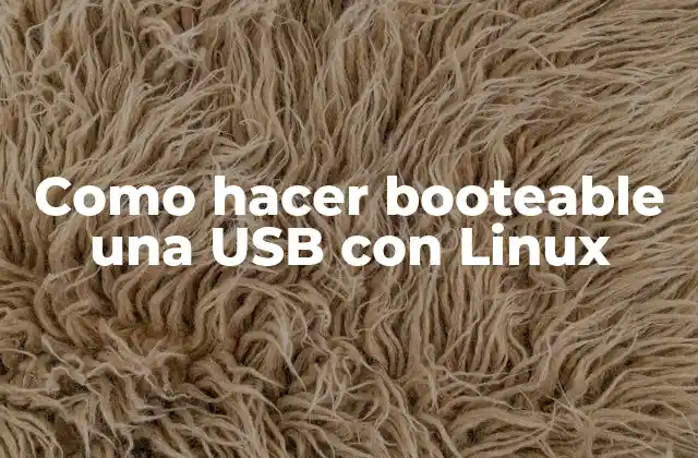 Como Hacer Booteable una Usb con Linux