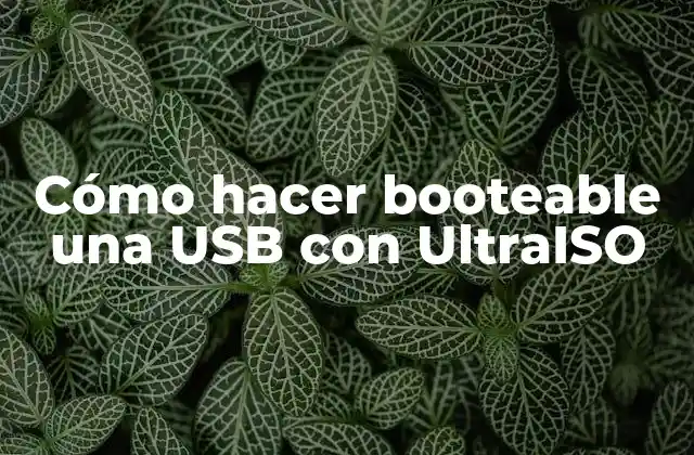 Cómo Hacer Booteable una Usb con Ultraiso
