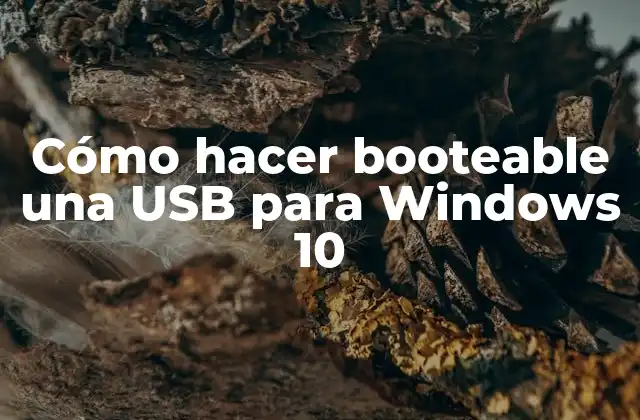 Cómo hacer booteable una USB para Windows 10