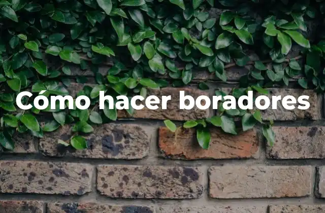 Cómo Hacer Boradores