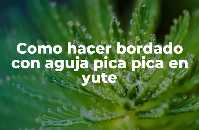 Como Hacer Bordado con Aguja Pica Pica en Yute