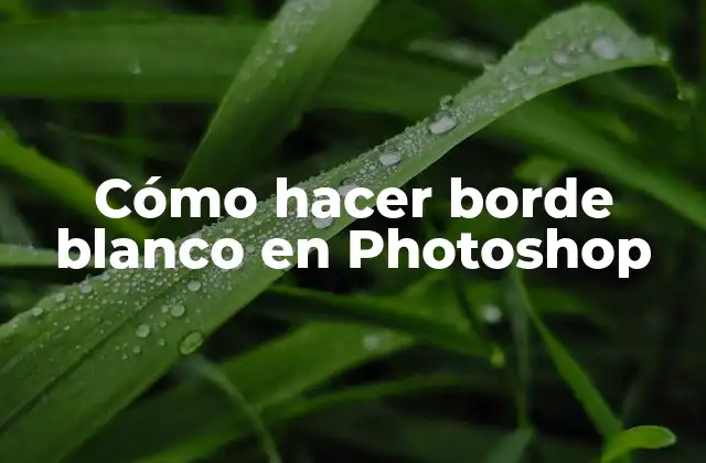 Cómo Hacer Borde Blanco en Photoshop
