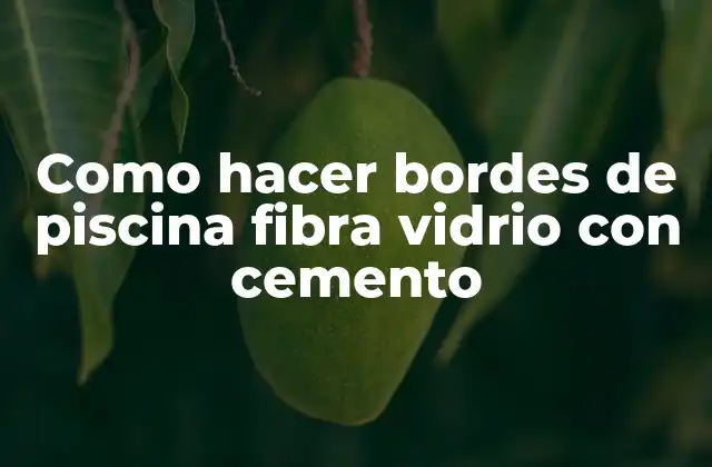 Como Hacer Bordes de Piscina Fibra Vidrio con Cemento