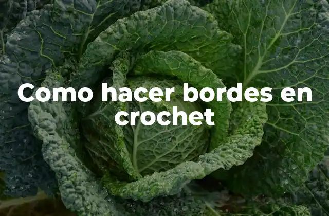 Como Hacer Bordes en Crochet 2 Como hacer bordes en crochet