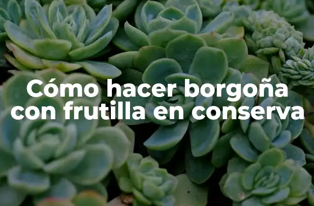 Cómo Hacer Borgoña con Frutilla en Conserva 2 Borgoña con frutilla en conserva: ¿Qué es y para qué sirve?