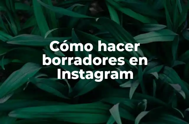 ¿Qué son los borradores en Instagram?