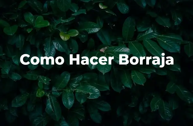 Como Hacer Borraja