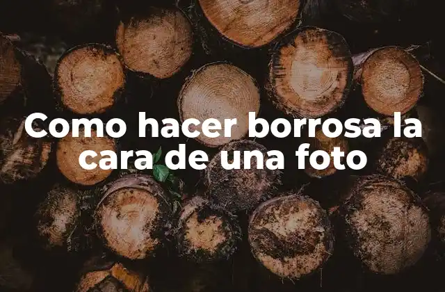 Como Hacer Borrosa la Cara de una Foto