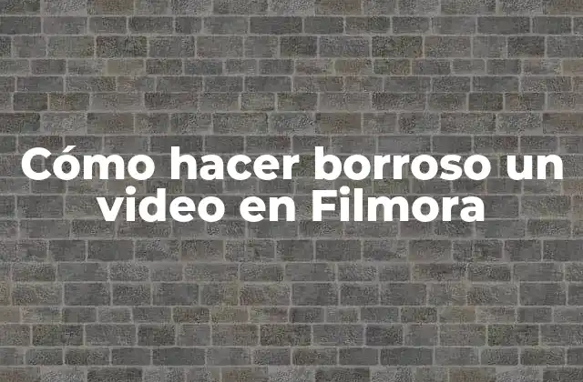 Cómo Hacer Borroso un Video en Filmora