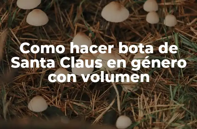 Como Hacer Bota de Santa Claus en Género con Volumen