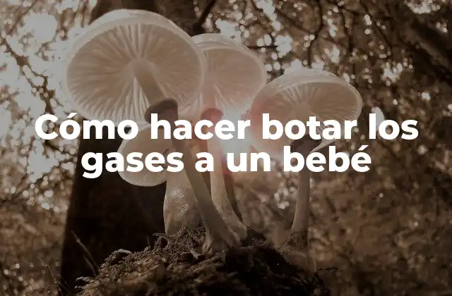 Cómo Hacer Botar los Gases a un Bebé