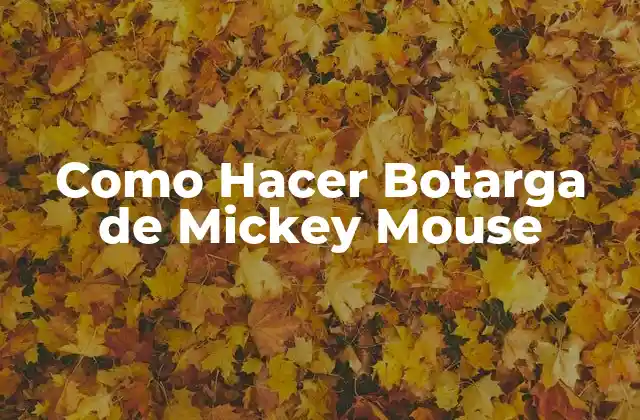 Como Hacer Botarga de Mickey Mouse