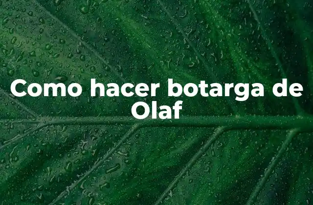 ¿Qué es una botarga de Olaf?