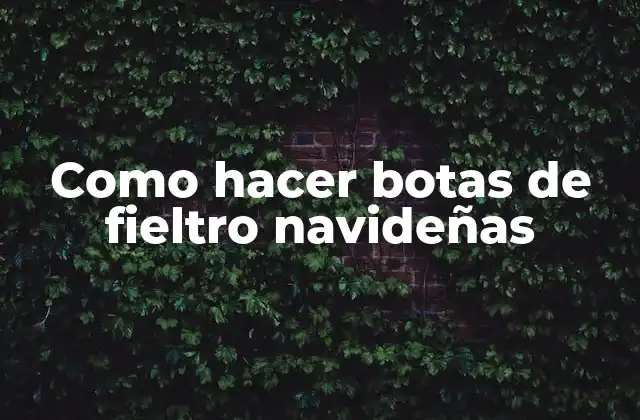 Como Hacer Botas de Fieltro Navideñas