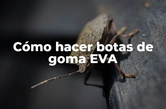 Cómo Hacer Botas de Goma Eva