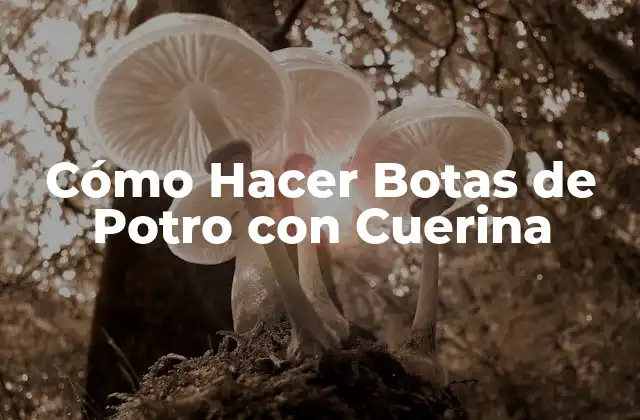 Cómo Hacer Botas de Potro con Cuerina 2 Cómo Hacer Botas de Potro con Cuerina
