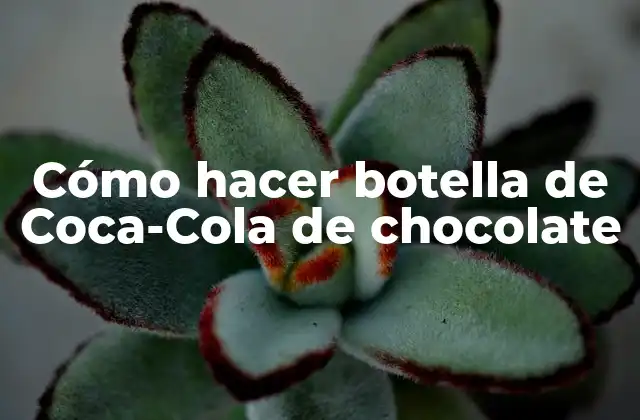 Cómo Hacer Botella de Coca-cola de Chocolate