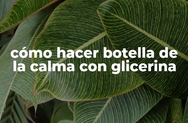 Cómo Hacer Botella de la Calma con Glicerina