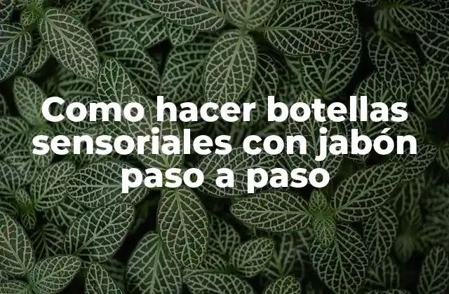 Como Hacer Botellas Sensoriales con Jabón Paso a Paso 2 Botellas sensoriales con jabón: ¿Qué son y para qué sirven?