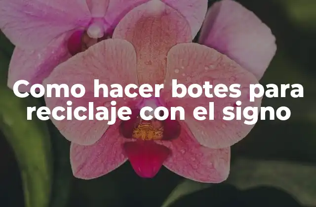 Como Hacer Botes para Reciclaje con el Signo