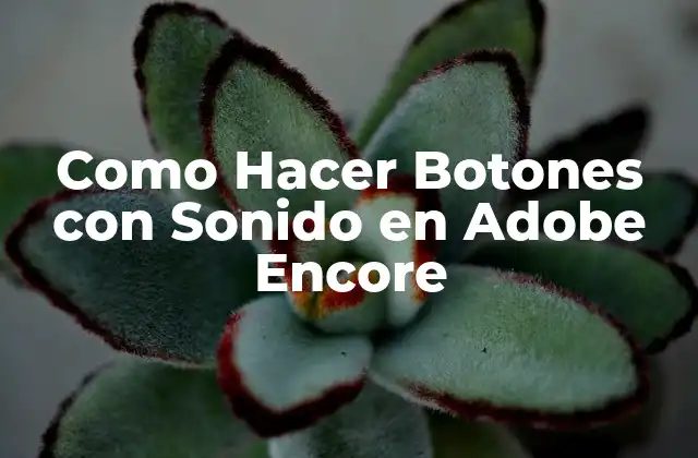 Como Hacer Botones con Sonido en Adobe Encore