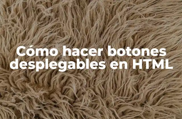 Cómo Hacer Botones Desplegables en Html 2 Cómo hacer botones desplegables en HTML