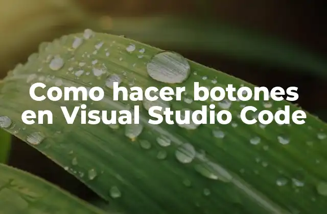 Como Hacer Botones en Visual Studio Code