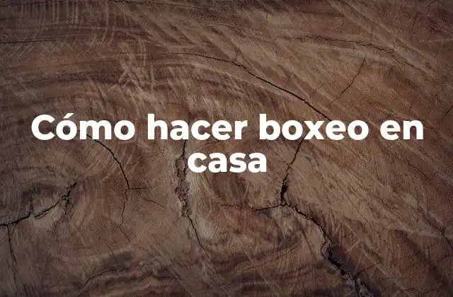 Cómo Hacer Boxeo en Casa 2 Cómo hacer boxeo en casa