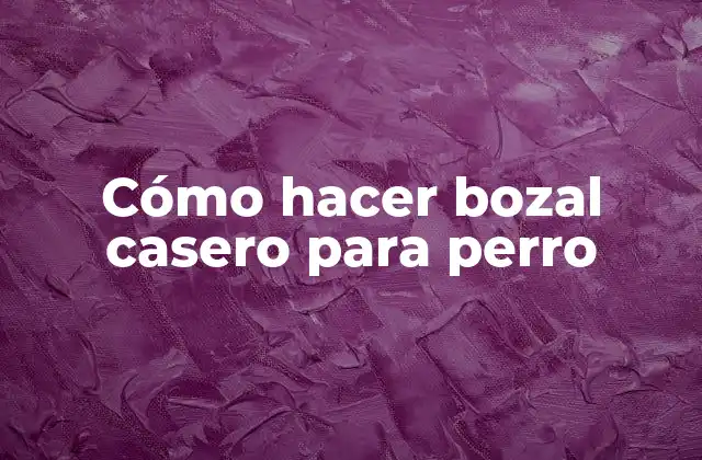 Cómo Hacer Bozal Casero para Perro 2 Bozal casero para perro
