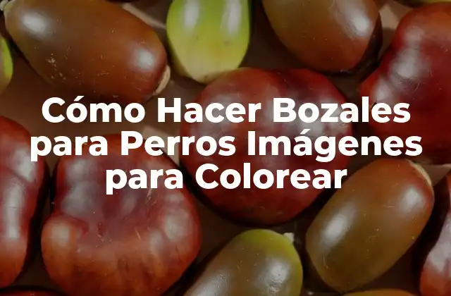 Cómo Hacer Bozales para Perros Imágenes para Colorear