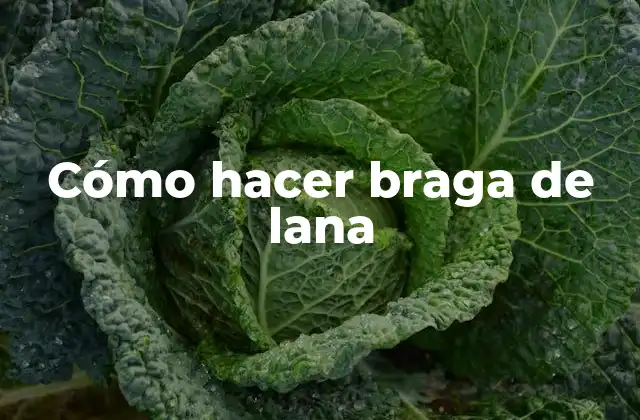 Cómo Hacer Braga de Lana 2 Cómo hacer braga de lana
