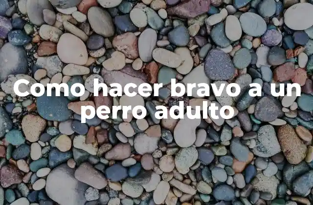 Como Hacer Bravo a un Perro Adulto