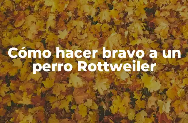 Cómo Hacer Bravo a un Perro Rottweiler