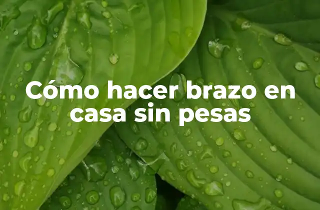 Cómo Hacer Brazo en Casa sin Pesas