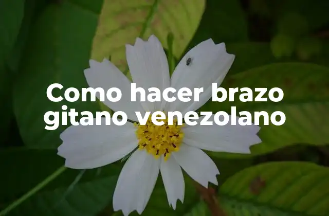 Como Hacer Brazo Gitano Venezolano 2 ¿Qué es el brazo gitano venezolano?