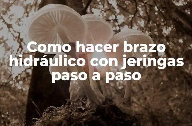 Como Hacer Brazo Hidráulico con Jeringas Paso a Paso