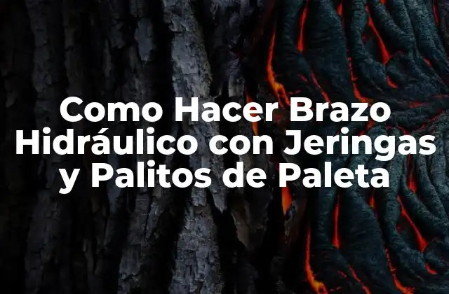 Como Hacer Brazo Hidráulico con Jeringas y Palitos de Paleta