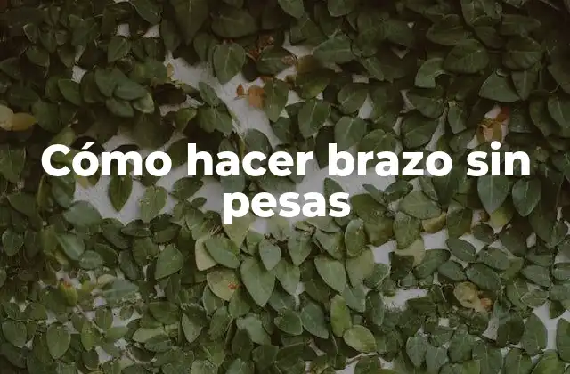 Cómo Hacer Brazo sin Pesas