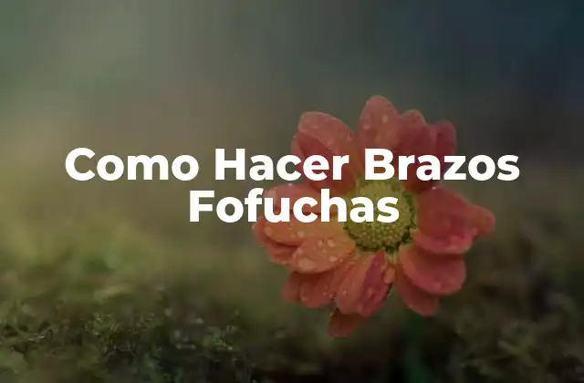 Como Hacer Brazos Fofuchas 2 ¿Qué son los Brazos Fofuchas?